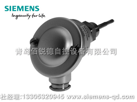 西門子煙氣溫度傳感器FT-TP/100 FT-TP/400